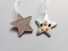 Load image into Gallery viewer, Penguin star silver