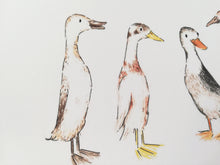 Load image into Gallery viewer, Indian runner ducks print