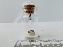 Load image into Gallery viewer, Miniature hedgehog decoration. Little pottery hedgehog in a glass bottle. Christmas hedgehog ornament