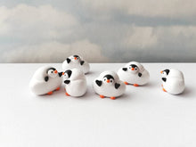 Load image into Gallery viewer, Penguin cloud. Little penguin in a box, black and white miniature pottery penguin in a white cloud, ceramic penguin gift