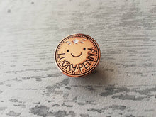 Load image into Gallery viewer, Lucky penny enamel pin, good luck enamel badge, enamel brooch pins, rose gold badges