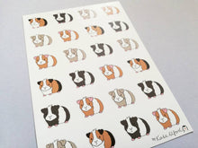 Load image into Gallery viewer, Guinea pig vinyl sticker sheet, mini pigs stickers, ginger, black, grey, tri colour, planner stickers, bullet journal stickers, decorative