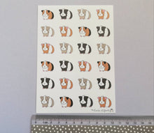 Load image into Gallery viewer, Guinea pig vinyl sticker sheet, mini pigs stickers, ginger, black, grey, tri colour, planner stickers, bullet journal stickers, decorative