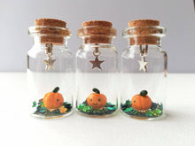 Load image into Gallery viewer, Miniature pumpkin decoration. Little pottery pumpkin in a glass bottle. Halloween mini star autumn ornament