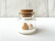 Load image into Gallery viewer, Miniature owl Christmas decoration. Little pottery owls in a glass bottle. Christmas owl mini ornament