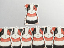 Load image into Gallery viewer, Guinea pig sticker, tri colour vinyl cavy decal