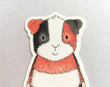 Load image into Gallery viewer, Guinea pig sticker, tri colour vinyl cavy decal