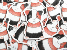Load image into Gallery viewer, Guinea pig sticker, tri colour vinyl cavy decal