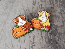 Load image into Gallery viewer, Guinea pig and pumpkin enamel pin
