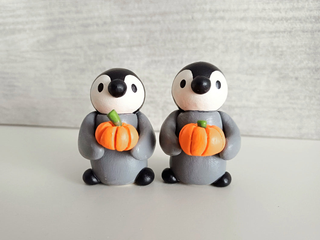 Penguin chick and pumpkin