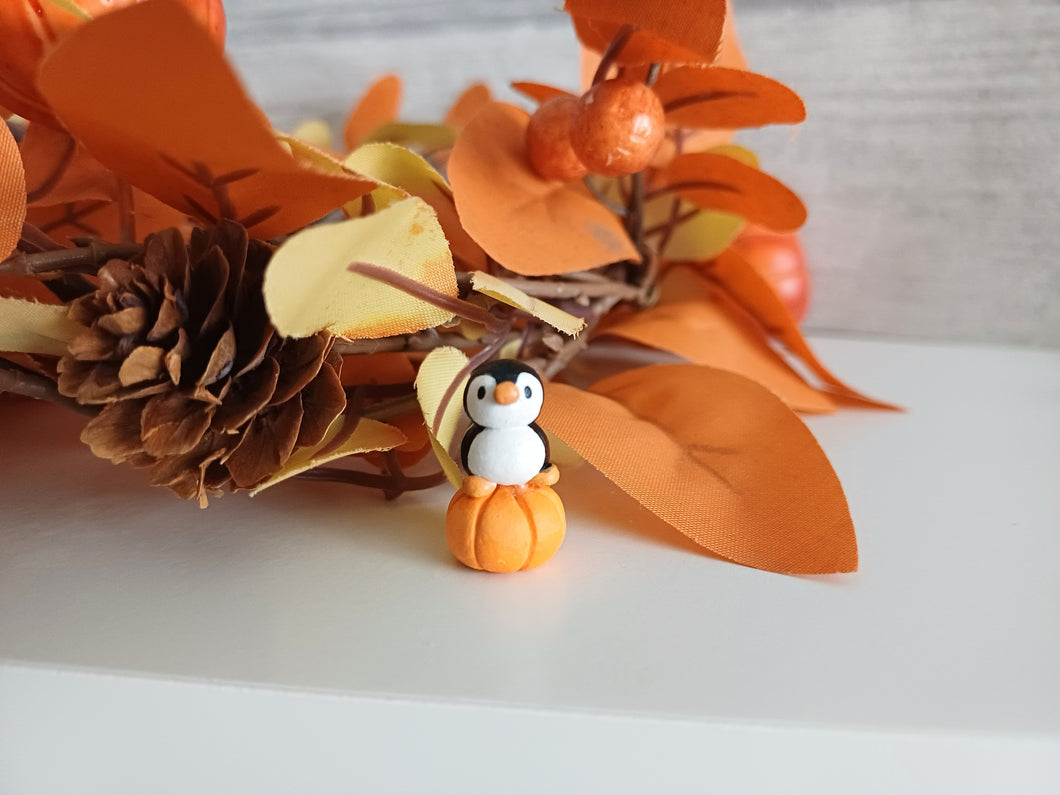 Miniature penguin and pumpkin