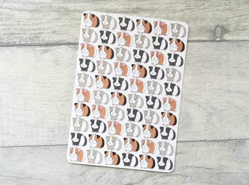 Postcard with a repeated design of guinea pigs, the design is by Kate Elford and called mini pigs