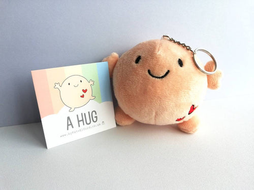 A hug, small soft plush keyring, cute happy gift, care, love you, friend, keychain, recycled filling
